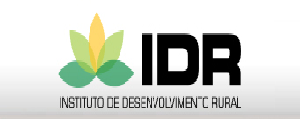 A imagem da coleção